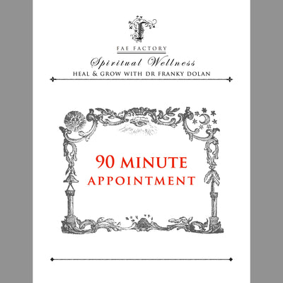 90-Minute Phone Appointments