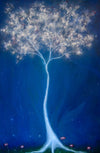 "Spirit of A Tree" by Dr Franky Dolan