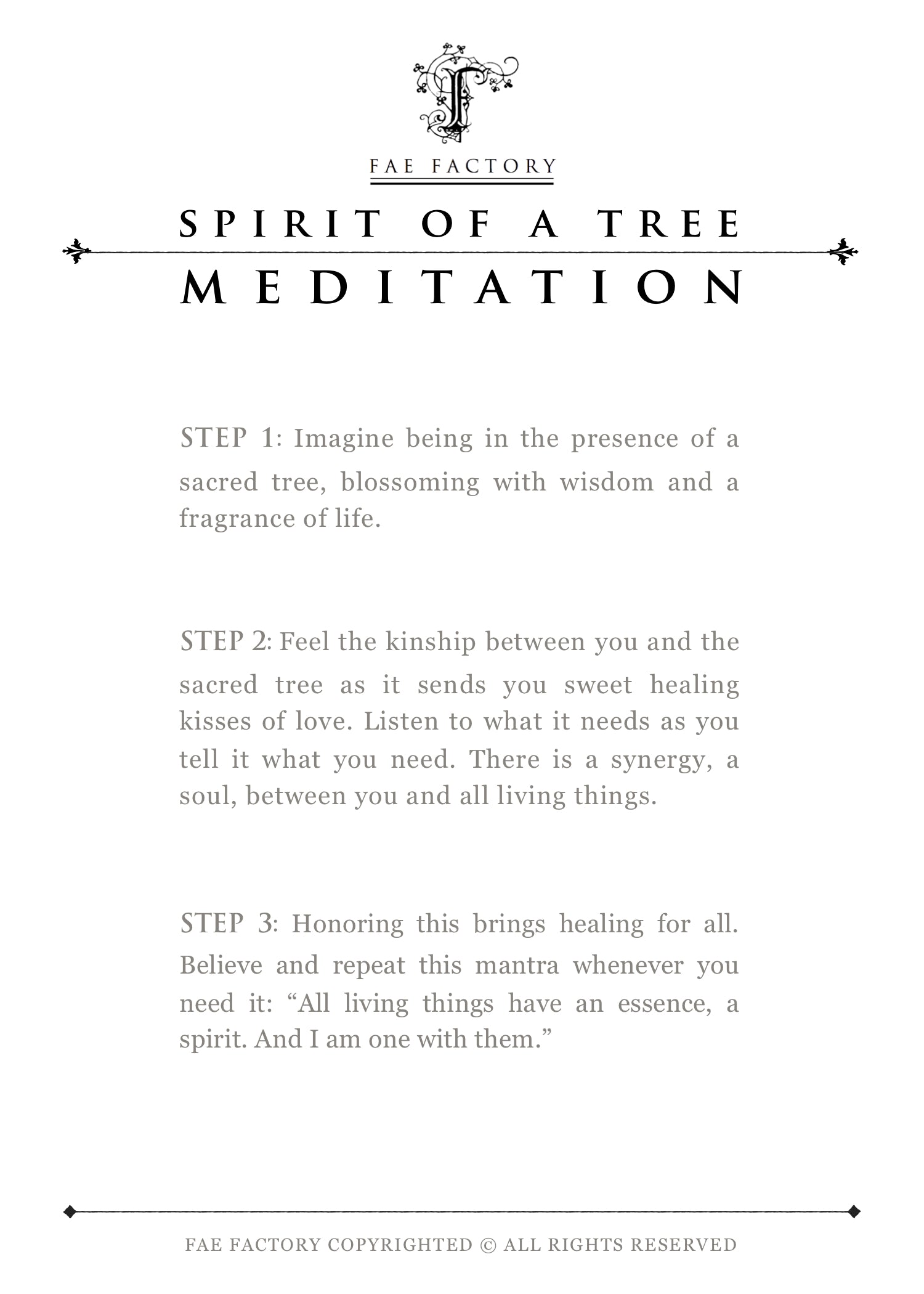 "Spirit of A Tree" by Dr Franky Dolan