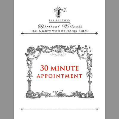 30-Minute Phone Appointments